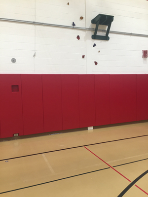 Gym Wall Padding with Rock Climbing Feature